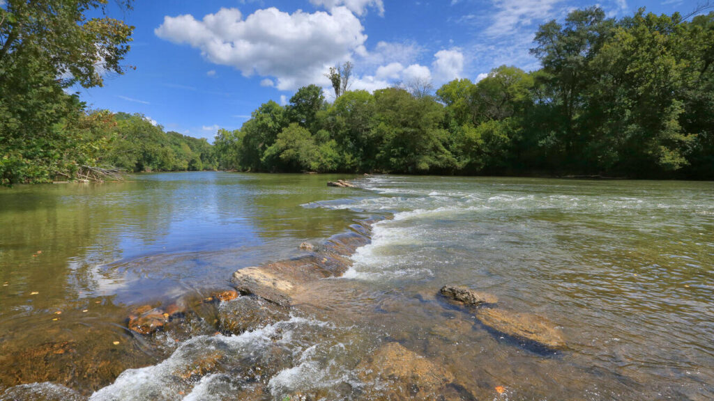 Shoal on the Etowah River