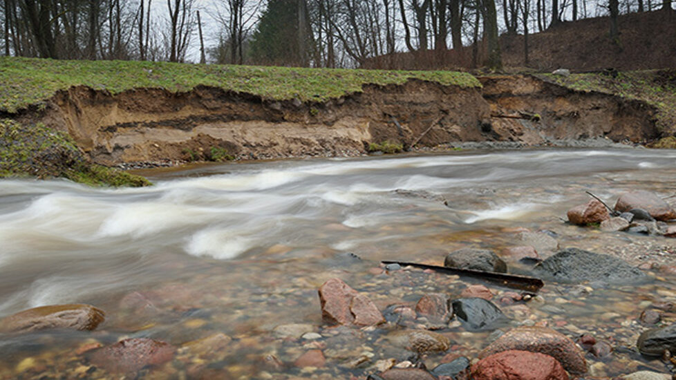 Photo of bank erosion along creek
