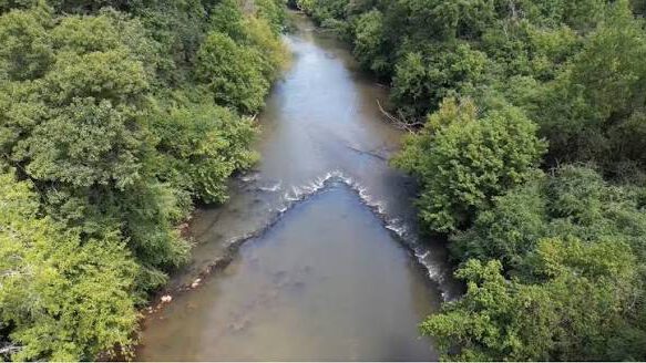 Fish weir in Canton, GA at Etowah River Park