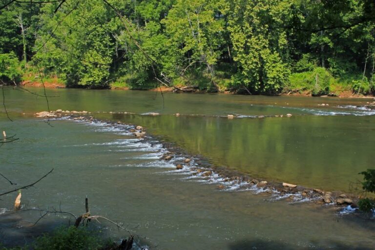Historical fish weir in the Etowah River