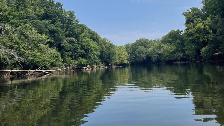 Photo of the Etowah River on a bright, sunny day with clear blue sky.