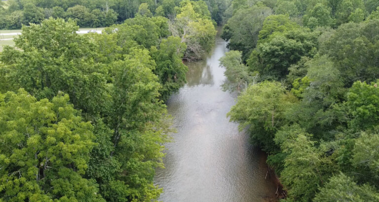 Photo of the water from Long Swamp Creek Recreation Area