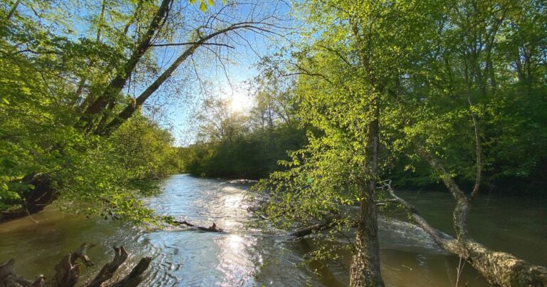 Photo of the Etowah River in Dawsonville, GA