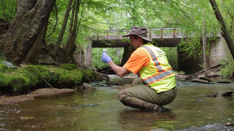 A volunteer collecting water sample from a stream for testing.
