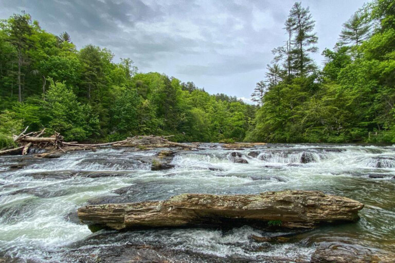 Edge of the World rapid on Amicalola Creek