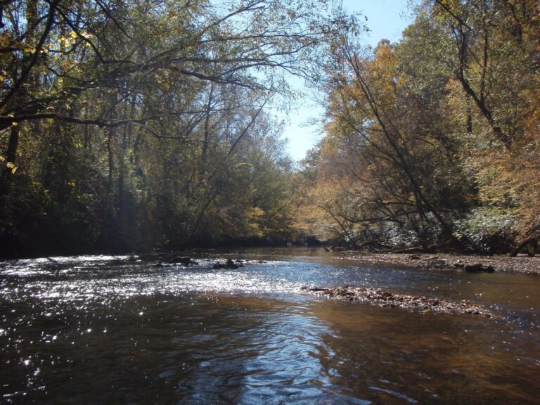 A photo of the Etowah River