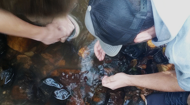 Two volunteers crouch in a shallow, rocky creek, reaching into the clear water to search the stones for stream life.