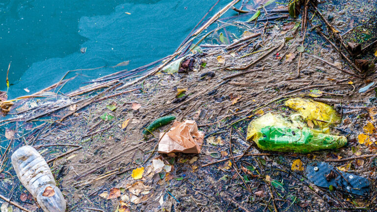 ▎ Trash, sediment and debris washed into the water by runoff, an example of nonpoint source pollution.