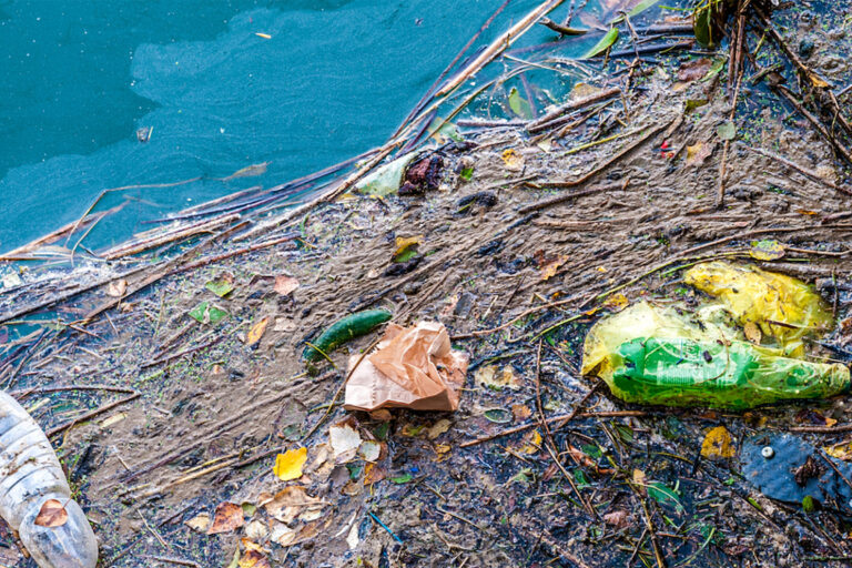 ▎ Trash, sediment and debris washed into the water by runoff, an example of nonpoint source pollution.