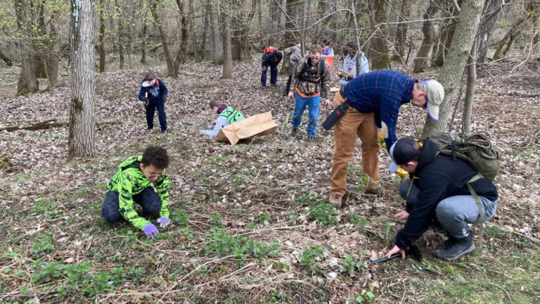 Scouts working on a conservation project in the woods