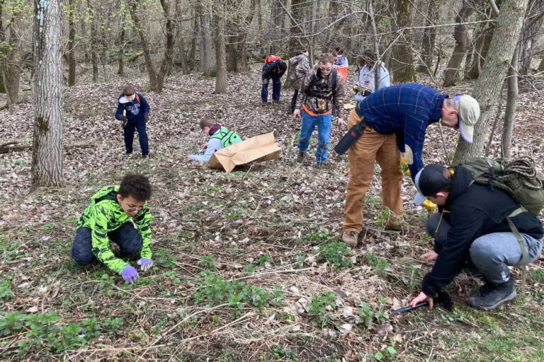 Scouts working on a conservation project in the woods