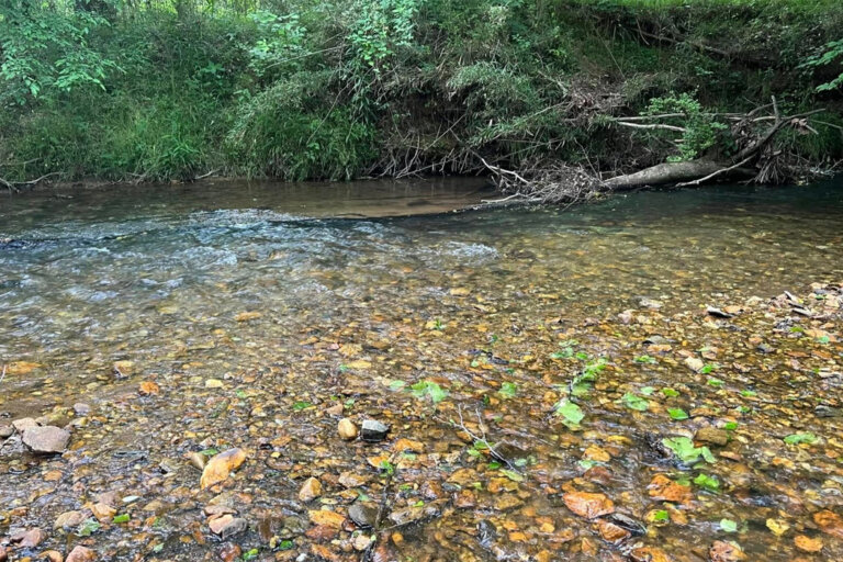 Smithwick Creek in Ballground GA