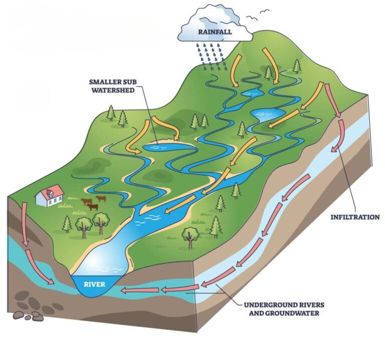 Illustration of a watershed (courtesy of the Watershed Foundation)