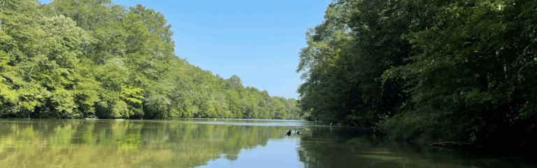 Yellow Creek Conservation Property